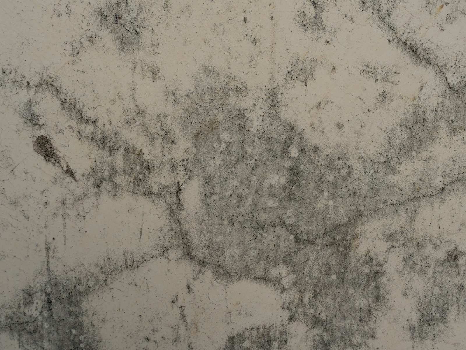 Crawl Space Water Damage in Clarksville