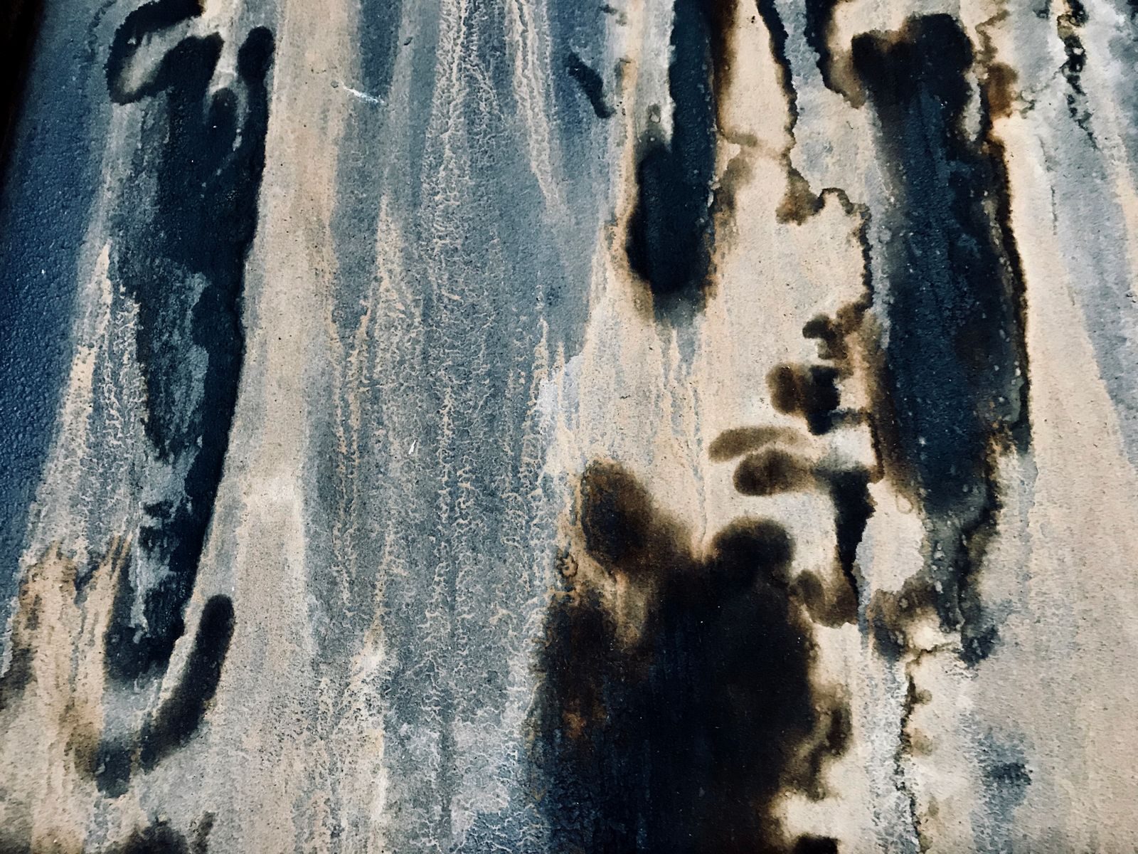 Mold After Water Damage in Clarksville